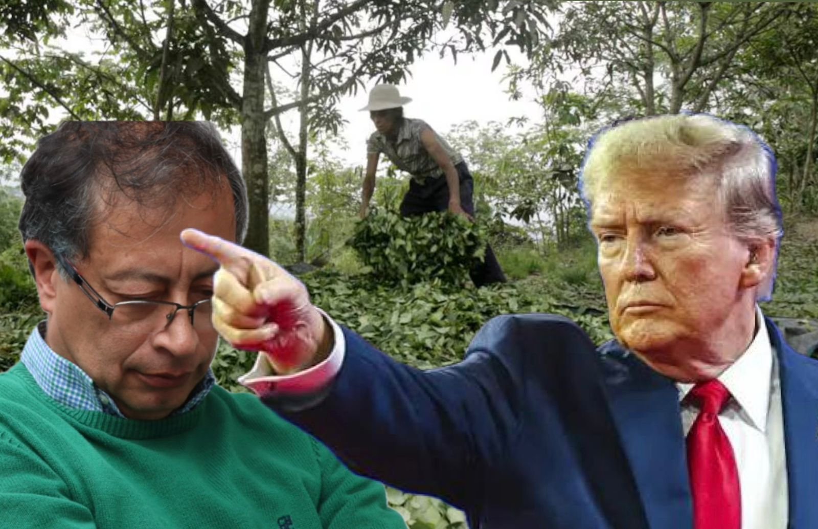 Oficialmente descertificados en la lucha antidroga: Un problema de los gobiernos de Izquierda.