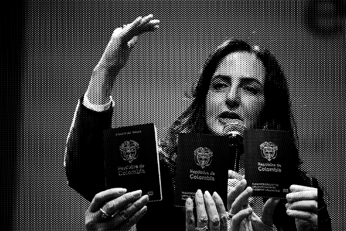  Caida del sistema: Entrega de pasaportes se complica